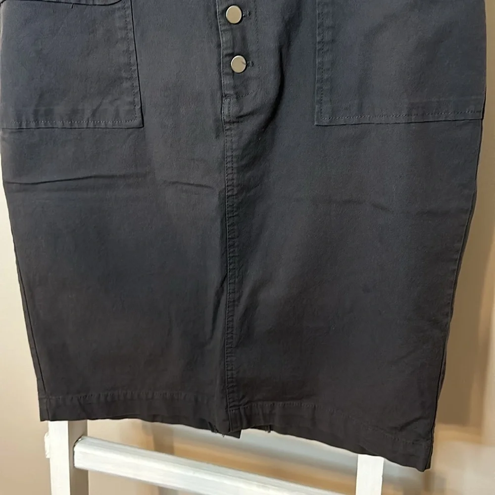 The Limited Pencil Skirt with Front Button Up Closure and Pockets Size 12 in GUC